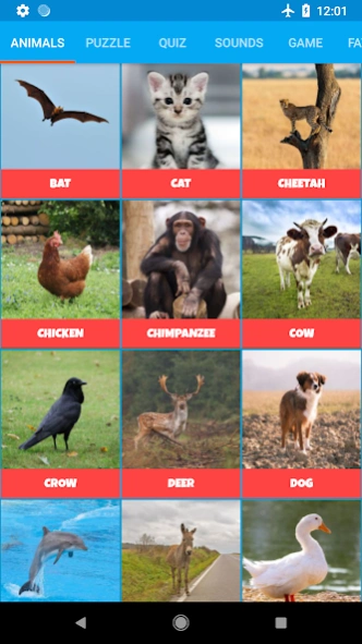 Animal Sounds  Screenshot