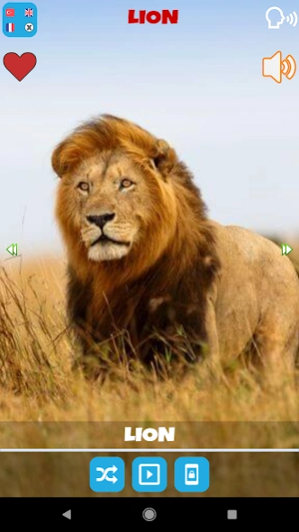 Animal Sounds  Screenshot