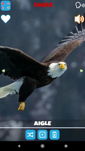 Animal Sounds  Screenshot