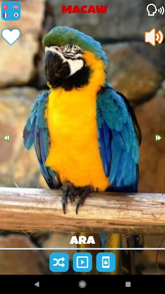Animal Sounds  Screenshot