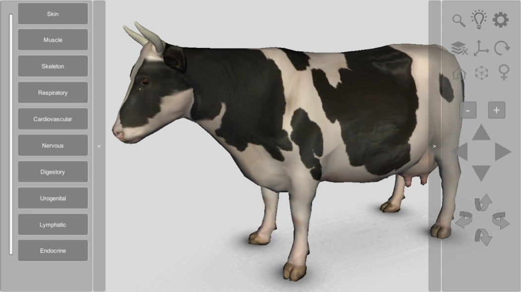 3D Bovine Anatomy  Screenshot