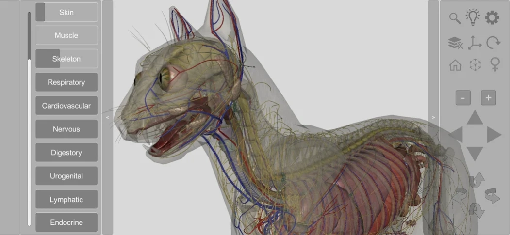 3D Cat Anatomy 2.02b Screen Views 2
