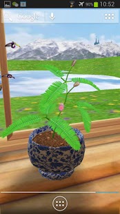 3D Mimosa Live Wallpaper 5.0 Screenshot