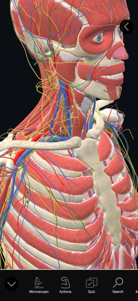 3D Organon 2025.2.2 Screenshot