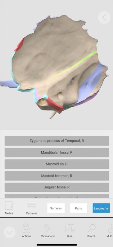 3D Organon 2025.2.2 Screenshot