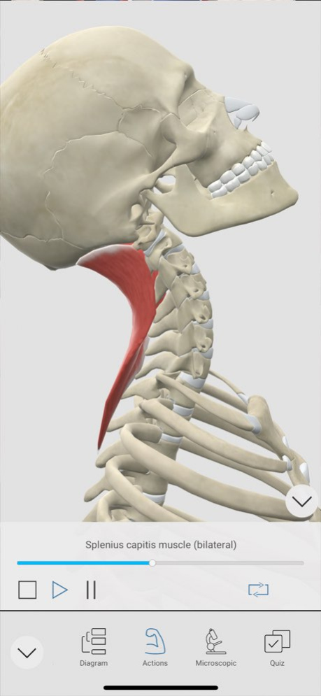 3D Organon 2025.2.2 Screenshot