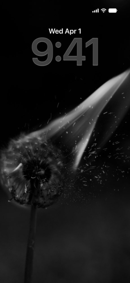 Black Wallpapers in 4K 2.3.0 Screenshot