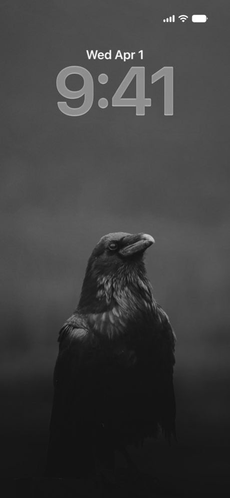 Black Wallpapers in 4K 2.3.0 Screenshot