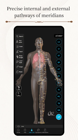 Acupuncture Master 3.1.4 Screenshot