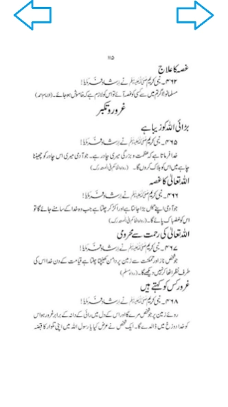 Aik Hazaar Ahadees e Nabvi 1.0 Screenshot