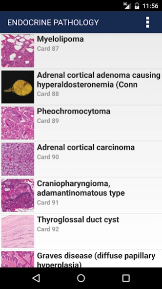 Anatomic Pathology Flashcards 1.3 Screenshot