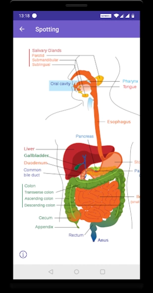 Anatomy Guide (Pocket Book) 3.1 Screenshot