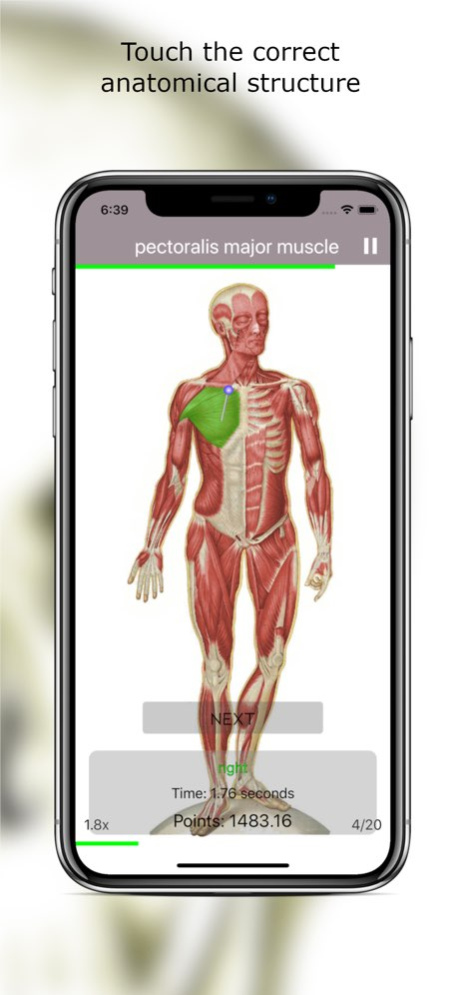 Anatomy Quiz Premium 6.4.1 Screenshot