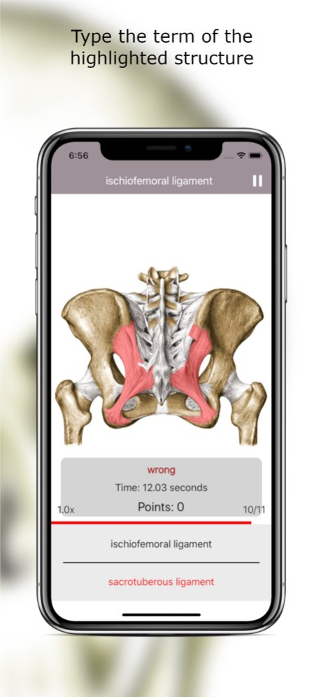 Anatomy Quiz Premium 6.4.1 Screenshot