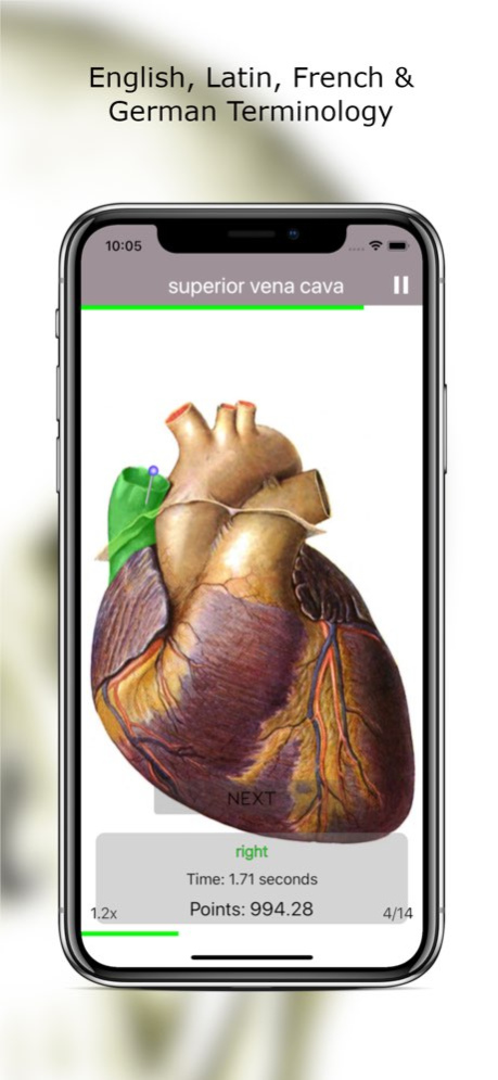 Anatomy Quiz Premium 6.4.1 Screenshot