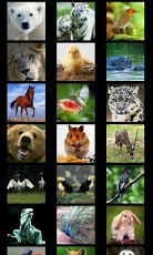Animal Puzzle For Toddlers 1.0 Screenshot