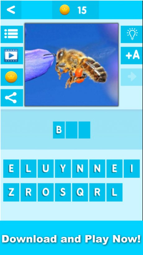 Animal Quiz Close Up : Guess the Word Trivia Games  Screenshot