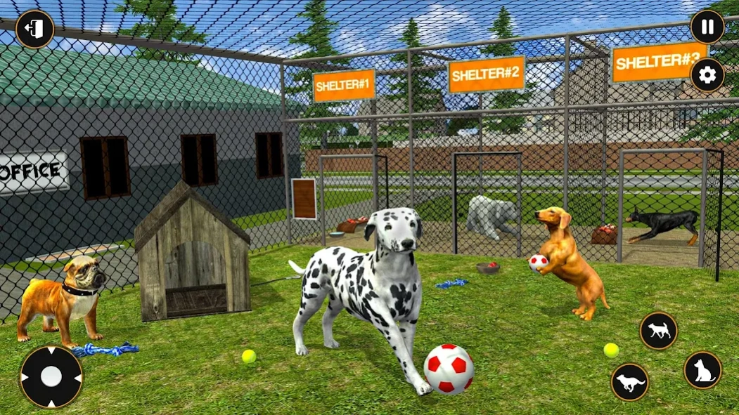 Animal Shelter Adopt Simulator 1.6 Screenshot