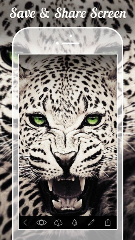 Animal Wallpapers & Backgrounds  Screenshot