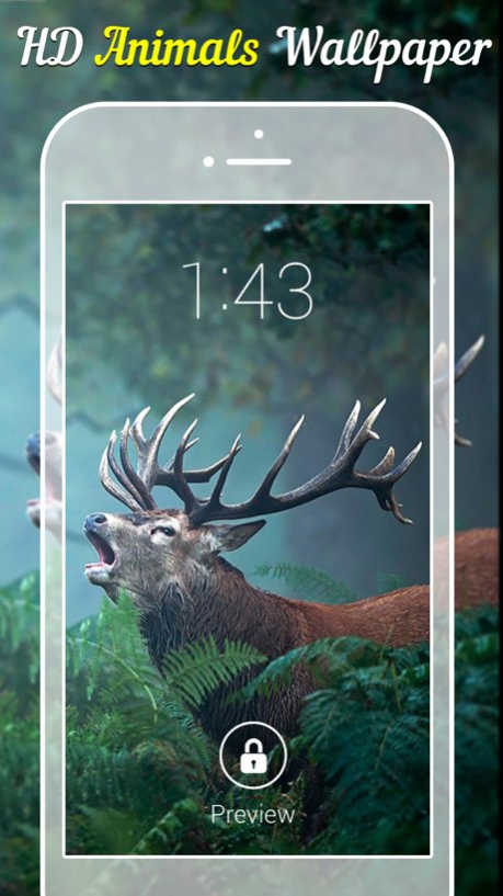 Animal Wallpapers & Backgrounds  Screenshot