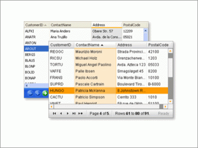 APNSoft DataGrid 4.0 Screenshot