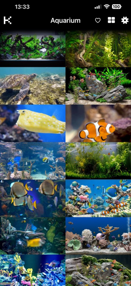 Aquarium 4K √ 3.42 Screenshot