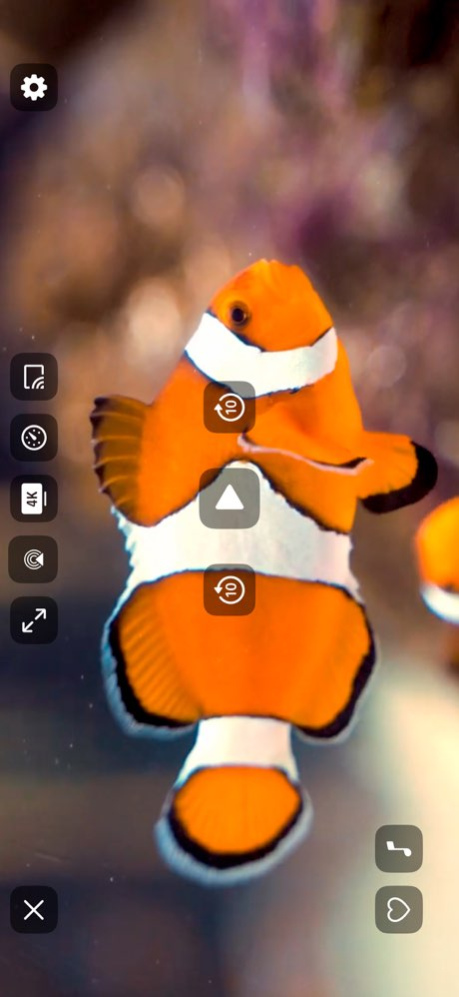 Aquarium 4K √ 3.42 Screenshot