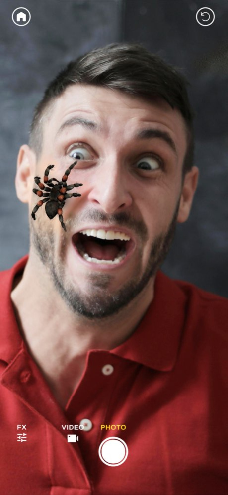 ARSpiders.com Spider on Face 1.4.3 Screenshot