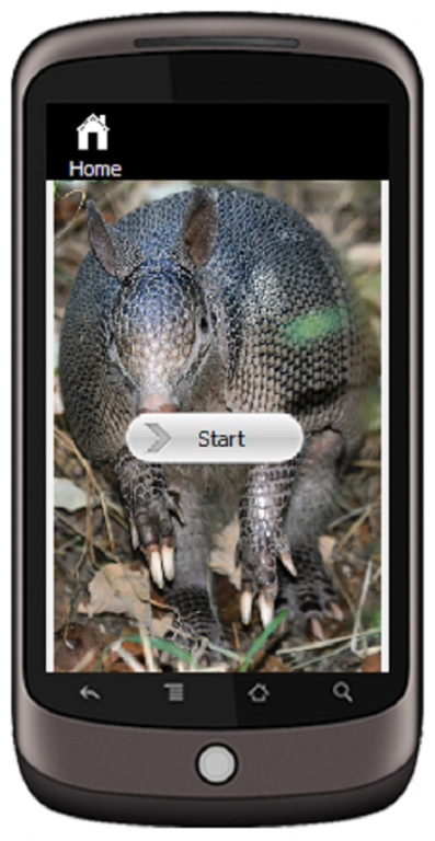 Armadillo 1.0 Screenshot