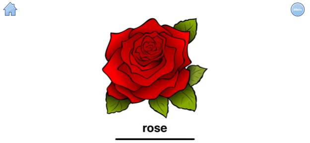 Articulate R 5.2 Screenshot