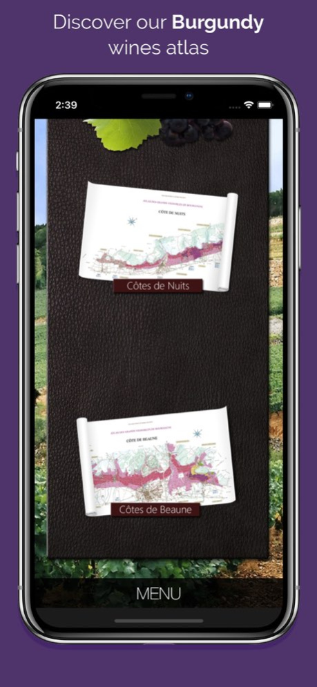 Atlas Bourgogne 2.2.1 Screenshot