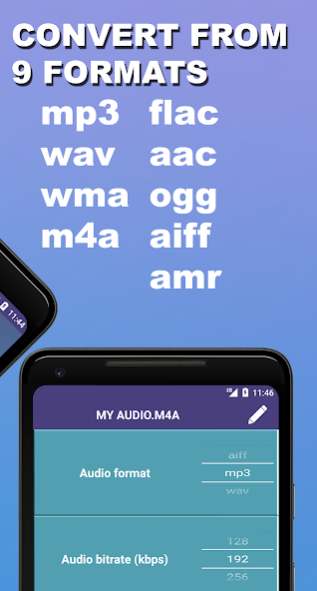 Audio Converter MP3 WAV WMA FL 1.81 Screenshot
