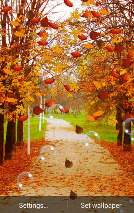 Autumn Wallpaper 2 1.7 Screenshot