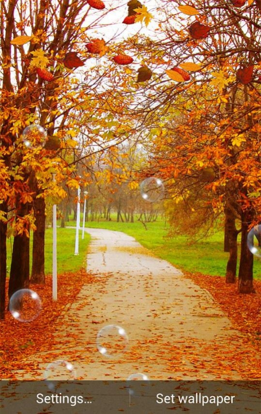 Autumn Wallpaper 2 1.7 Screenshot
