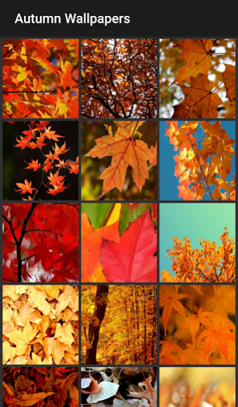 Autumn Wallpapers 2.1.0 Screenshot