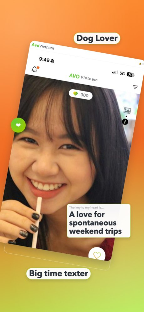 AvoVietnam 3.1.0 Screenshot