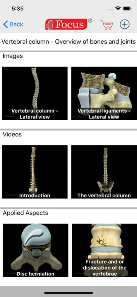 Back and Spinal cord 1.3 Screenshot