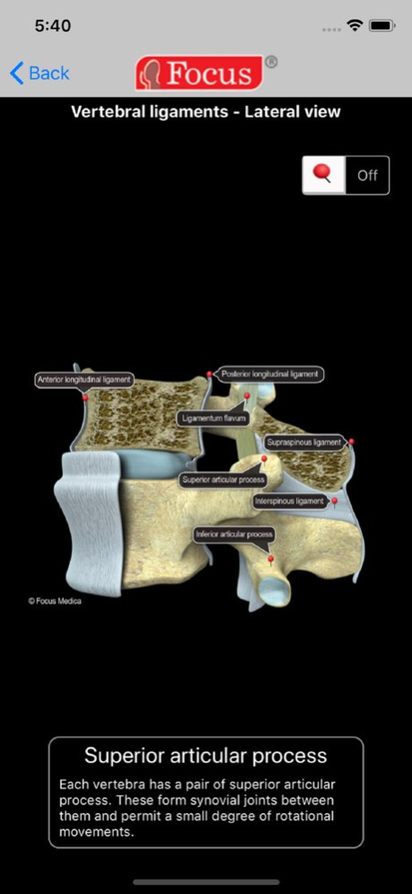 Back and Spinal cord 1.3 Screenshot
