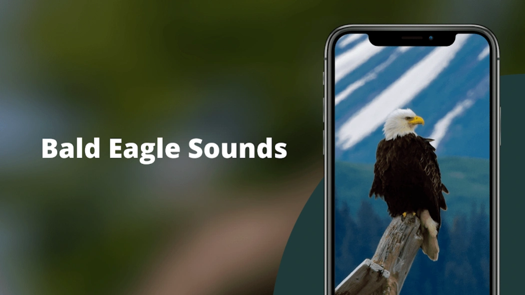 Bald Eagle Sounds 4.0 Screenshot
