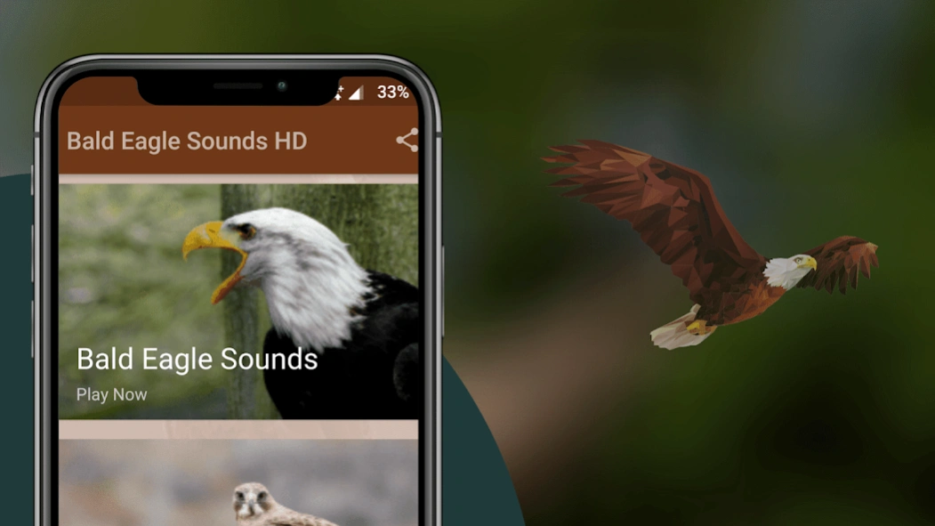 Bald Eagle Sounds 4.0 Screenshot