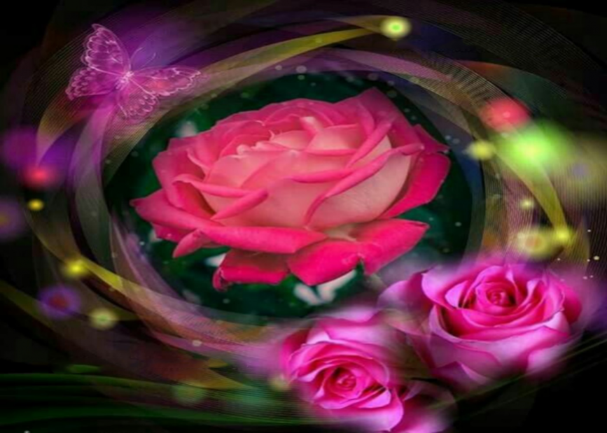 Beautiful flowers and roses pictures Gif 4.1 Screenshot
