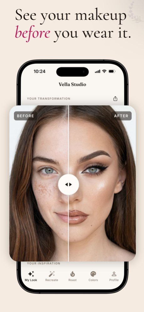 Vella Studio: Color Analysis 1.1.25 Screenshot