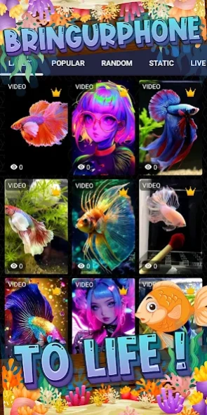 Betta Fish Wallpaper: HD Live  Screenshot