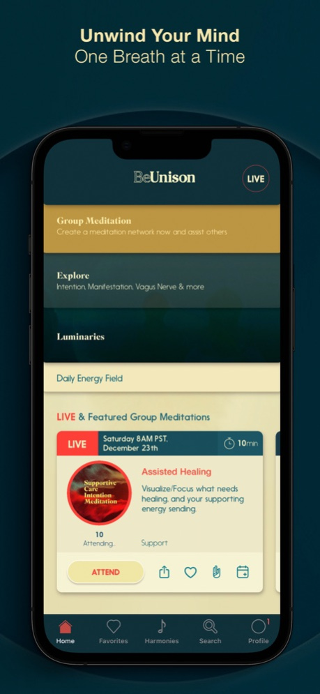 BeUnison 1.0.13 Screenshot