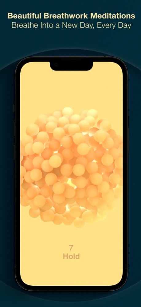 BeUnison 1.0.13 Screenshot