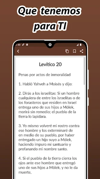 Biblia de Jerusalén / Católica  Screenshot