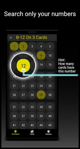 Snap Bingo Caller & Verifier 4.77 Screenshot