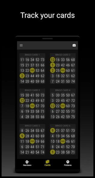 Snap Bingo Caller & Verifier 4.77 Screenshot