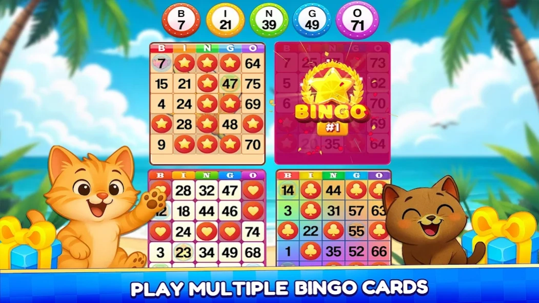 Bingo Madness Live Bingo Games 2.103 Screenshot