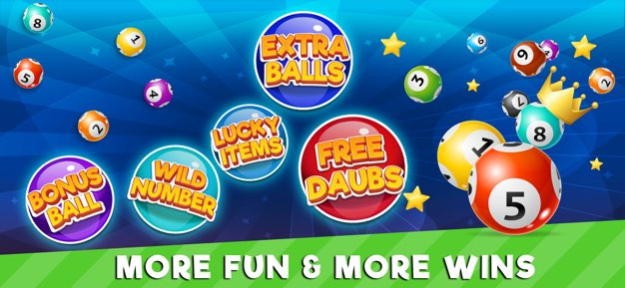 Bingo Deluxe 4.5 Screenshot